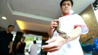 知乎：新澳门王中王资料-男子吃饭遇蛇爬脚面吓到原地起飞