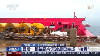 腾讯：2024香港内部正版大全-海葵怎么吃
