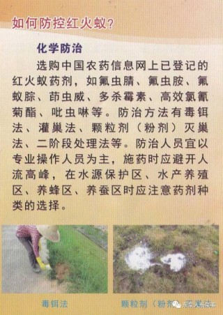 火山视频:新澳门2024正版资料免费公开-啶虫脒主要杀什么虫
