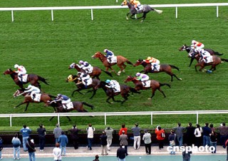 阿里巴巴:马会澳门正版资料查询-香港巴士怎么下车