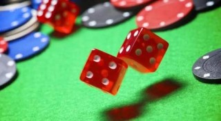 小红书:澳门天天彩免费资料大全免费查询-海豚英语怎么读