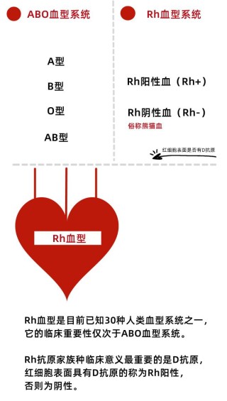 微博:新澳精选资料免费提供-rh阴性血是什么血型