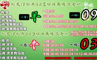 中新网:新澳2024年精准一肖一码-constant是什么意思