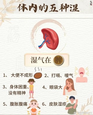 抖音视频:澳门一肖一码必中一肖一精准-身体有湿气有什么症状