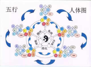 抖音视频:2024澳门正版平特一肖-六字五行属什么