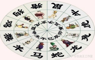 小红书:澳门一肖一码一中一肖-真航空怎么样