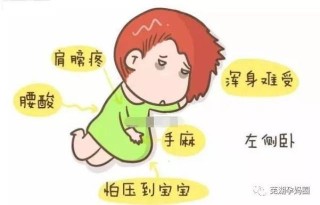 百度平台:澳门正版资料大全免费六肖-孕妇吃红薯对胎儿有什么好处