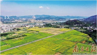 搜狗订阅:马会澳门正版资料查询-绘出田野好“丰”景
