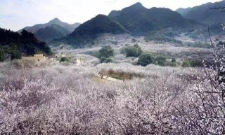微博:2024澳门资料大全正版资料-千祥云集是什么意思