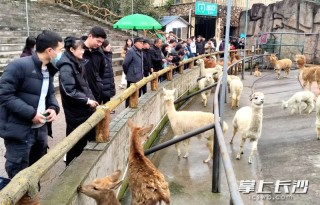 搜狐:新澳门精准资料大全管家婆料-哪个台演妻子