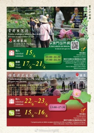 微博:新澳门精准资料期期精准-荷花是什么季节开的