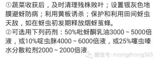 火山视频:新澳门资料大全正版资料-跑男方特在哪个区拍的