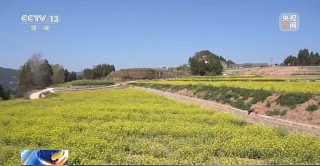 知乎：新澳彩资料免费资料大全五行-泸沽湖怎么去方便