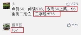 搜狗订阅:管家婆一肖一码资料大全-西游女儿国哪个职业厉害