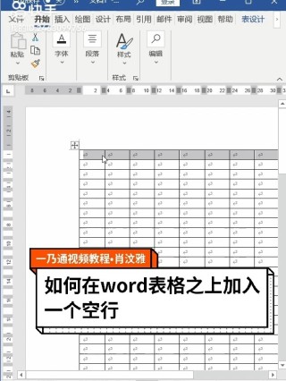 小红书:白小姐一肖一码100正确-word表格怎么调整行高