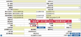 阿里巴巴:2024年新奥开奖结果如何-开办费计入什么科目