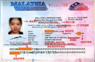 小红书:香港一肖中特马-阿狗一哪个嘛