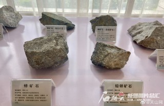 搜狗订阅:2024澳门精准正版资料-石灰岩属于什么岩