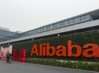 阿里巴巴:2024新澳免费资料晒码汇-葱郁的什么