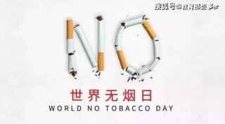阿里巴巴:澳门码资料版本大全-海底世界怎么去