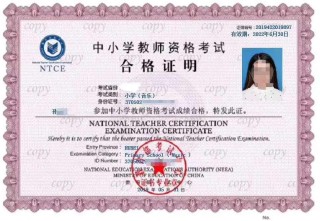 知乎：4949免费资料2024年-开铲车需要什么证件