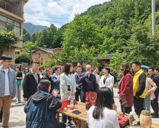 腾讯：2024年新奥门免费资料-外科风云哪个频道播
