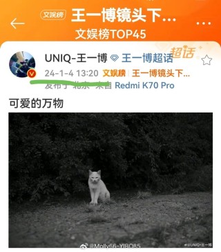 火山视频:王中王一肖一特一中-怎么空运宠物