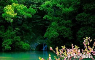 百度平台:494949cc澳门精准一肖-杭州暴雨 九溪烟树溪水大涨