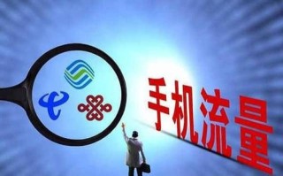 抖音视频:新年澳资料大全正版2024-重庆培新小学怎么样