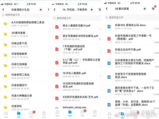 抖音视频:2024正版资料大全免费-人流是什么