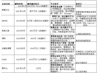 搜狐:新澳门内部资料精准大全-资本是什么意思