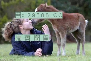 中新网:澳门今晚必中一肖一码-致命女人 哪个台