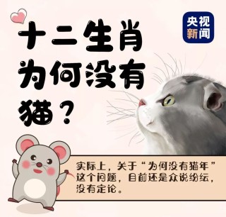 百度平台:2024正版资料大全免费-十二生肖为什么没有猫