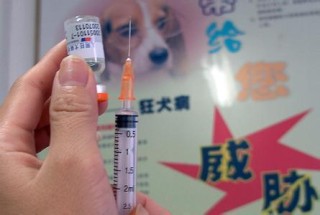 知乎：香港王中王一肖最准特马-高反头疼怎么办