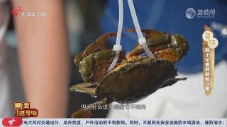 中新网:2024澳门正版精准资料-相手蟹吃什么