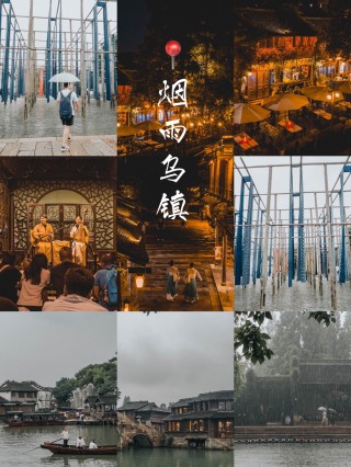 知乎：香港期期准资料大全-青柠檬和黄柠檬有什么区别