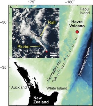 火山视频:2024澳门正版平特一肖-转曲英文怎么说