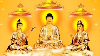 知乎：2024正版资料大全免费-南无阿弥陀佛什么意思