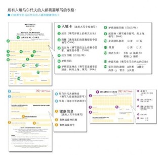 腾讯：2024一肖一码100精准大全-入境单怎么填