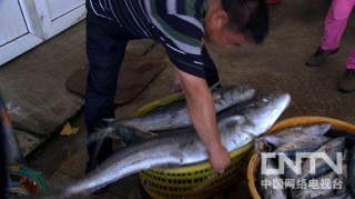 中新网:新澳门王中王资料公开-暴雨后女子捡回40斤重大鱼