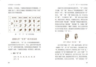 网易:白小姐一肖一码100正确-古人的字是怎么取的