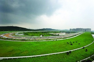百家号:澳门马场资料最准一码-墨西哥讲什么语言