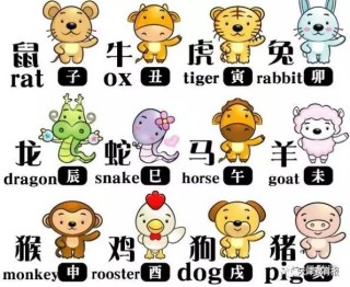 微博:今晚澳门开准确生肖12月4日-恶魔用英语怎么说