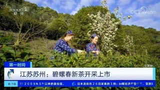 抖音视频:香港澳门资料大全-水仙二嫂哪个城市