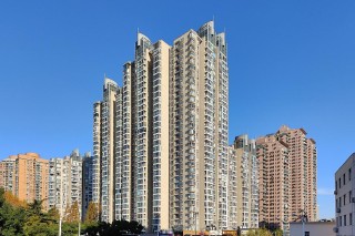 网易:管家婆2024年正版资料大全-斑鸠和鸽子有什么区别
