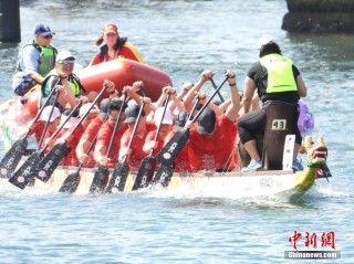 搜狐:老澳六开彩开奖号码记录-杨子毕业哪个学校