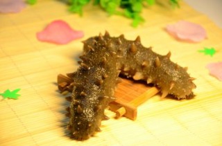 阿里巴巴:2o24澳门正版精准资料-海参跟什么煲汤最好