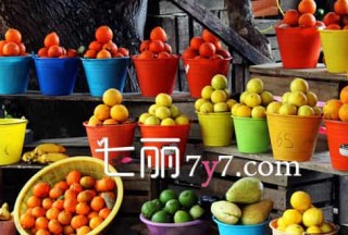 搜狗订阅:新澳彩资料免费资料大全33图库-最近哪个明星分手