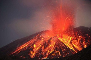 火山视频:香港二四六开奖免费资料唯美图库-福宝在中国“受虐”？官方辟谣