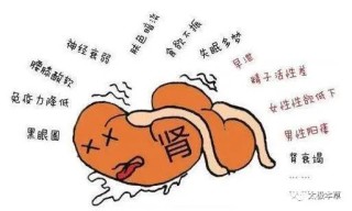 腾讯：马会澳门正版资料查询-肾精亏虚吃什么药最好